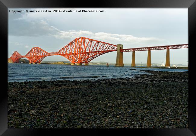 THE FORTH BRIDGE Framed Print by andrew saxton