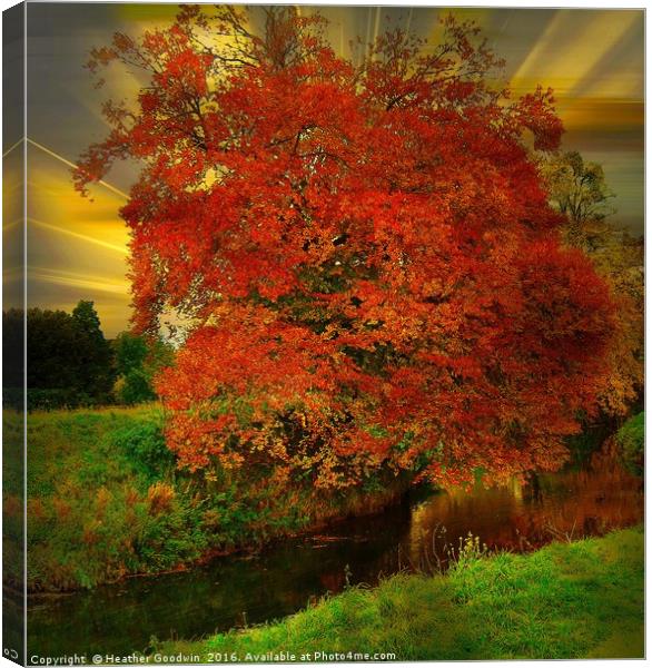 The Burning Bush. Canvas Print by Heather Goodwin