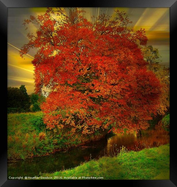 The Burning Bush. Framed Print by Heather Goodwin