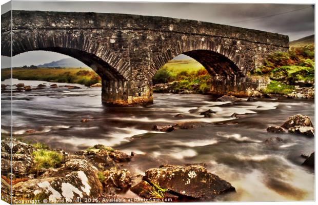 Hebridean River, Isle of Mull Canvas Print by David Borrill