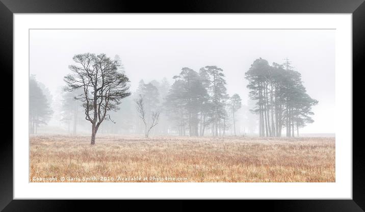 More Misty Trees at Loch Tulla. Framed Mounted Print by Garry Smith