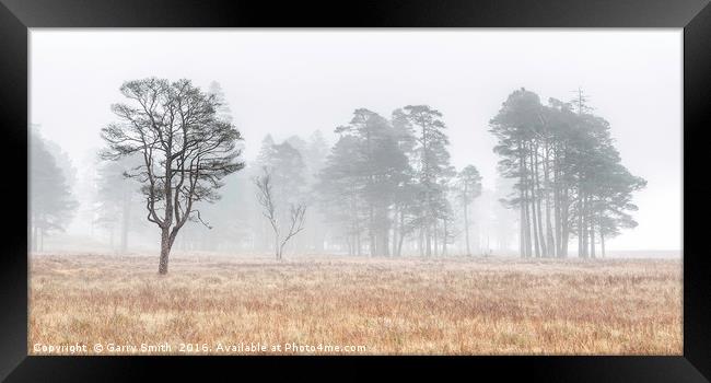 More Misty Trees at Loch Tulla. Framed Print by Garry Smith
