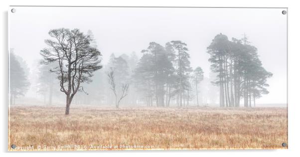 More Misty Trees at Loch Tulla. Acrylic by Garry Smith
