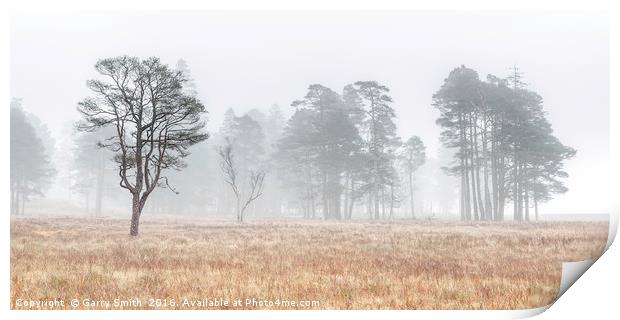 More Misty Trees at Loch Tulla. Print by Garry Smith