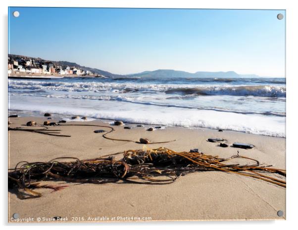 Seaweed On The Shore Acrylic by Susie Peek