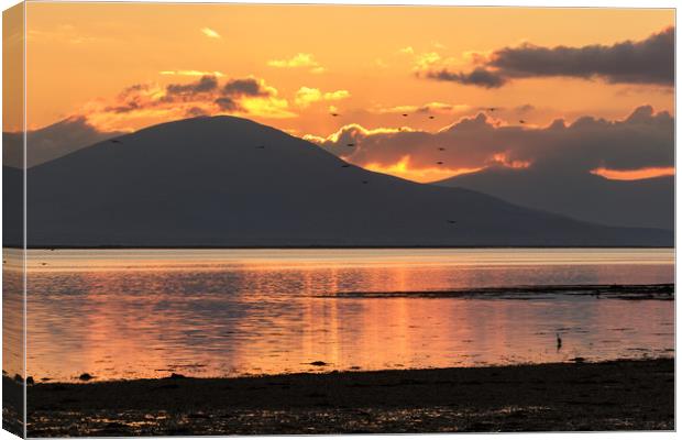 Sunset on Cockleshell Beach in Tralee Bay, Ireland Canvas Print by Colm Kingston