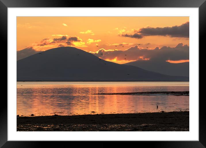 Sunset on Cockleshell Beach in Tralee Bay, Ireland Framed Mounted Print by Colm Kingston