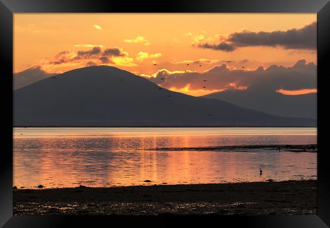 Sunset on Cockleshell Beach in Tralee Bay, Ireland Framed Print by Colm Kingston