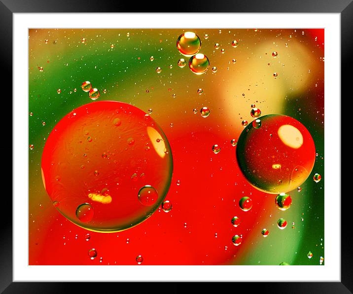 Vivid Oil Droplets Framed Mounted Print by Mike Gorton