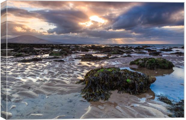 Derrymore Strand at Low Tide on A Spring Evening Canvas Print by Colm Kingston