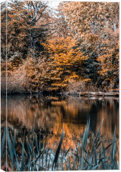 Autumn Reflections Canvas Print by Mark Sorrell