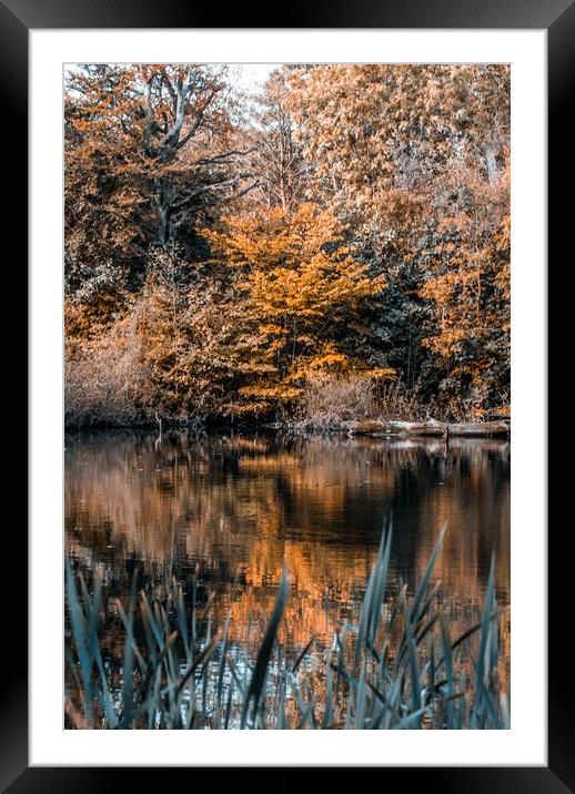 Autumn Reflections Framed Mounted Print by Mark Sorrell