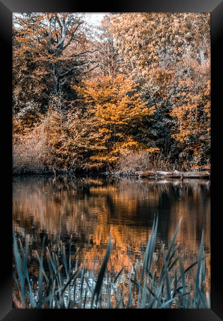 Autumn Reflections Framed Print by Mark Sorrell