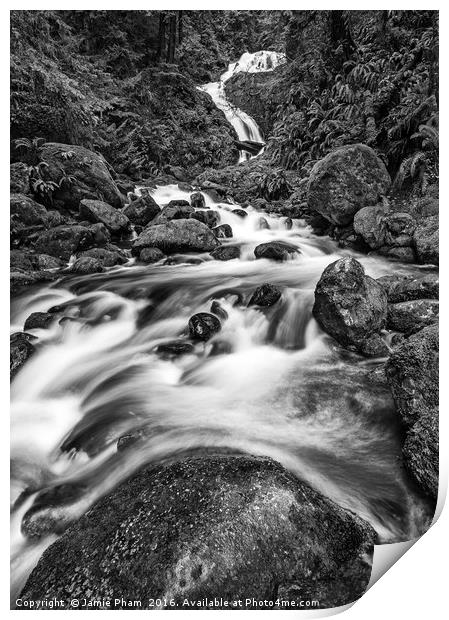 Beautiful Bunch Creek Falls in the Olympic Nationa Print by Jamie Pham