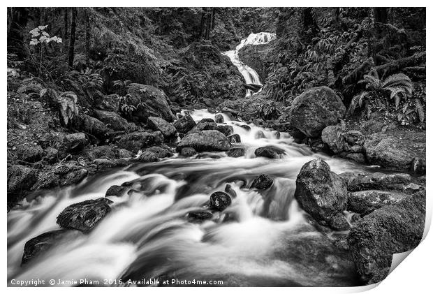 Beautiful Bunch Creek Falls in the Olympic Nationa Print by Jamie Pham