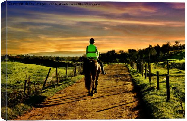 Lone Horse Rider Canvas Print by Derrick Fox Lomax