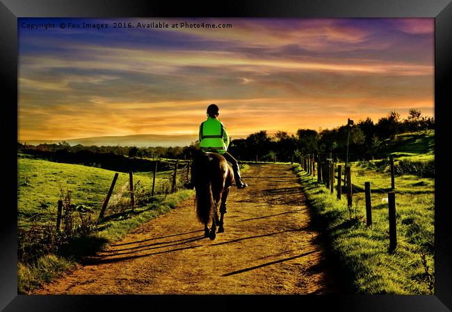 Lone Horse Rider Framed Print by Derrick Fox Lomax