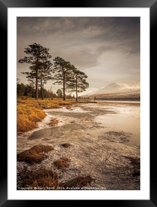 Scots and Ice. Framed Mounted Print by Garry Smith