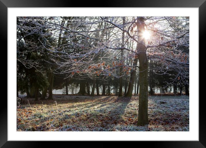 Frosty morning Framed Mounted Print by Magdalena Bujak