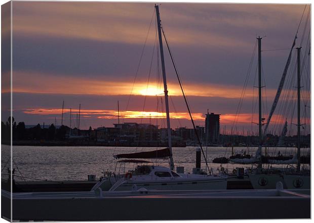 Yachts at sunset Canvas Print by Donna Collett