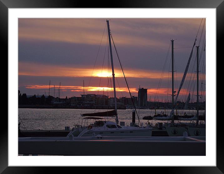 Yachts at sunset Framed Mounted Print by Donna Collett