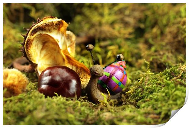 Snail Tilly in the autumn Moss  Print by Dagmar Giers