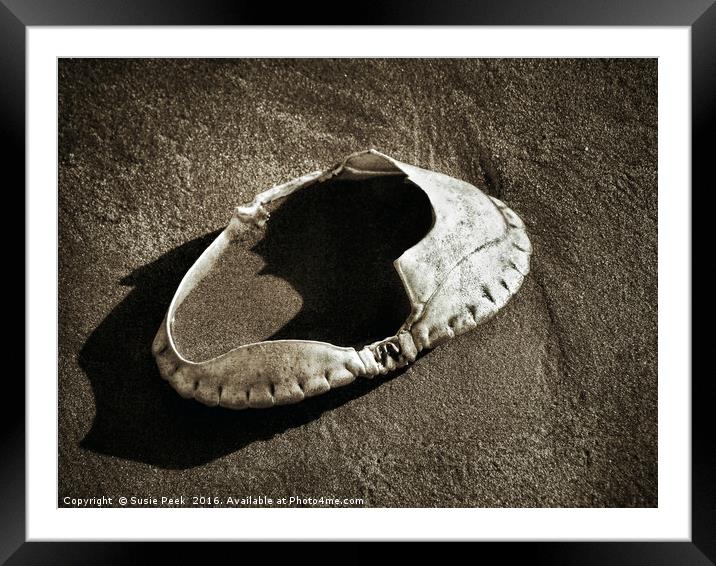 Empty Crab Shell - Toned Framed Mounted Print by Susie Peek