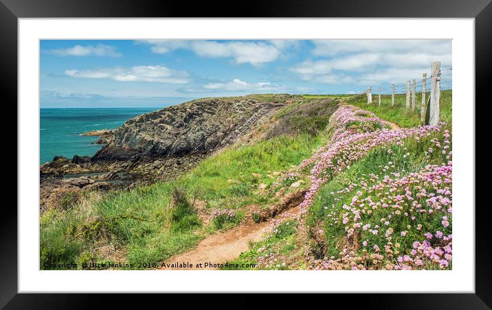 Pembrokeshire Coast Path at St Justinians in May  Framed Mounted Print by Nick Jenkins