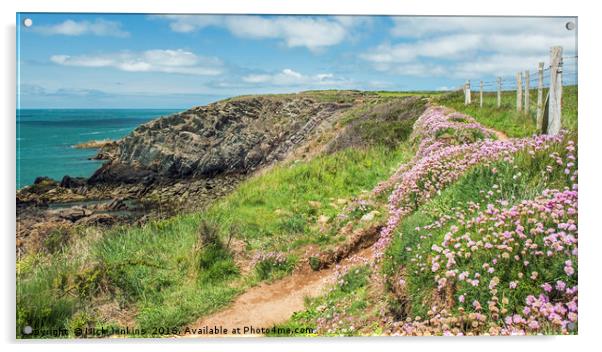 Pembrokeshire Coast Path at St Justinians in May  Acrylic by Nick Jenkins