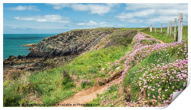 Pembrokeshire Coast Path at St Justinians in May  Print by Nick Jenkins