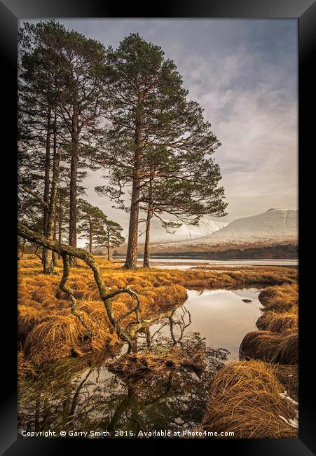Winter's View. Framed Print by Garry Smith