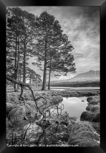 Winter's View (mono) Framed Print by Garry Smith