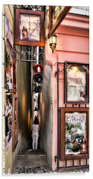 Restaurant Certovka, Prague Acrylic by Geoff Storey