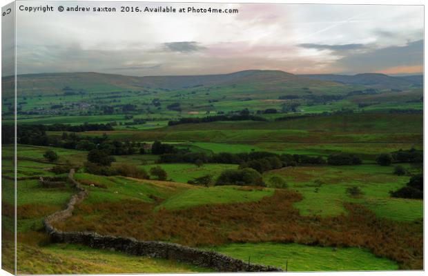IT'S WENSLEYDALE Canvas Print by andrew saxton