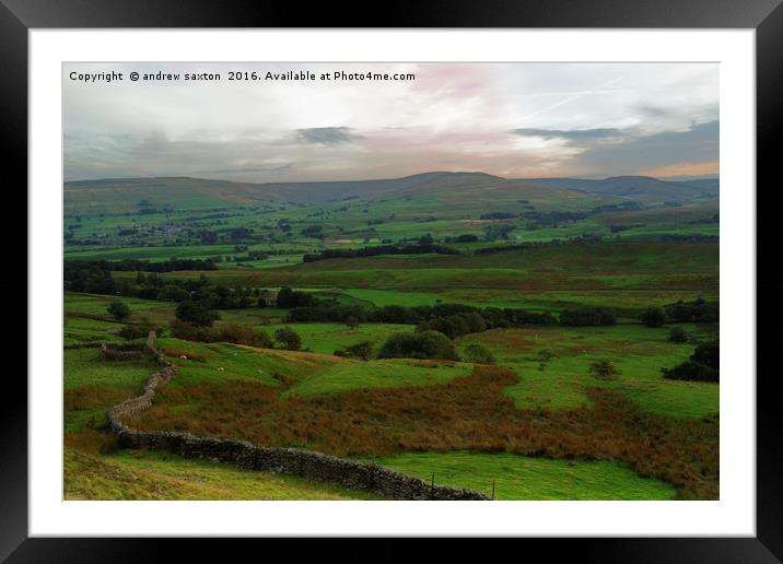 IT'S WENSLEYDALE Framed Mounted Print by andrew saxton