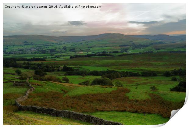IT'S WENSLEYDALE Print by andrew saxton