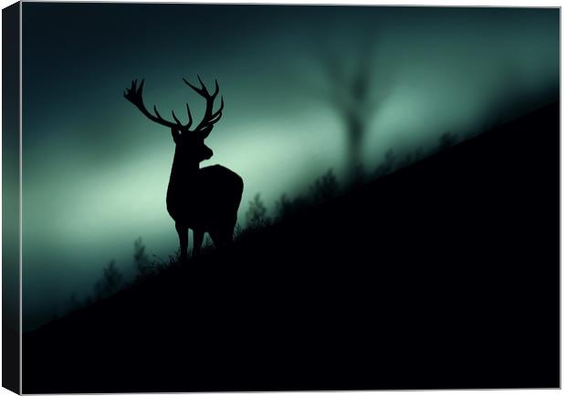 deer in the Wood Canvas Print by Guido Parmiggiani