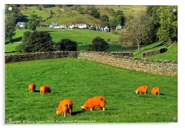Orange Sheep Acrylic by Jamie Green