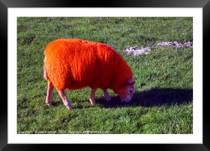 Dyed In The Wool Framed Mounted Print by Jamie Green