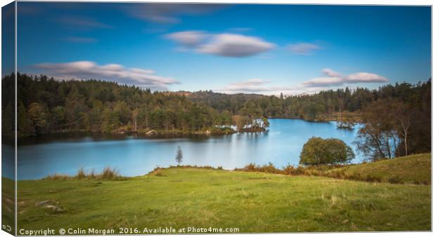 Tarn Hows, Lake District Canvas Print by Colin Morgan