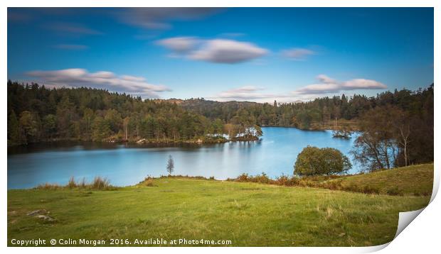 Tarn Hows, Lake District Print by Colin Morgan