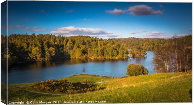 Tarn Hows in the Lake District National Park Canvas Print by Colin Morgan