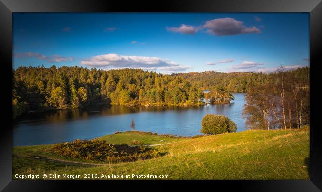 Tarn Hows in the Lake District National Park Framed Print by Colin Morgan