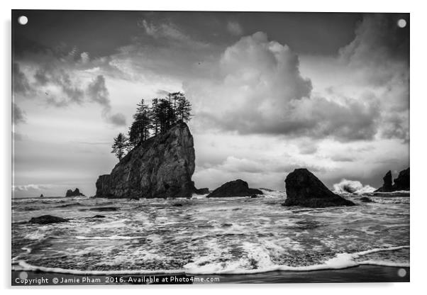 Second Beach in Olympic National Park located in W Acrylic by Jamie Pham