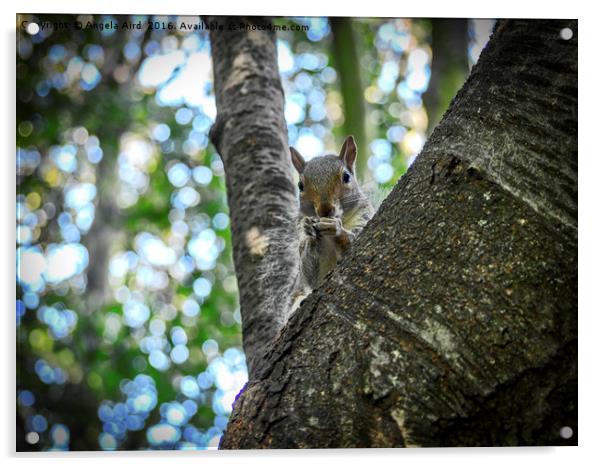 Grey Squirrel. Acrylic by Angela Aird
