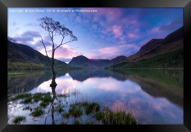 Buttermere tree, English Lake District. Framed Print by John Finney