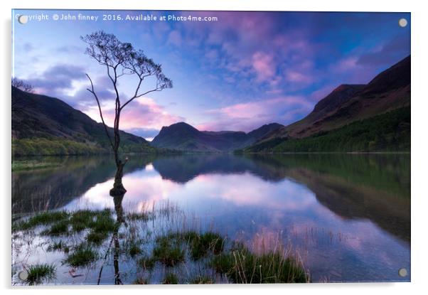 Buttermere tree, English Lake District. Acrylic by John Finney