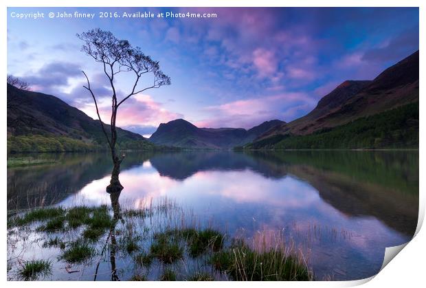 Buttermere tree, English Lake District. Print by John Finney