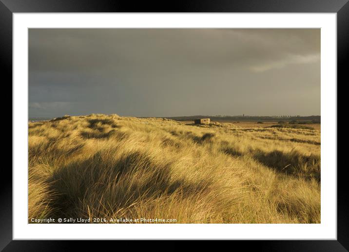 Inland from the dunes Horsey Framed Mounted Print by Sally Lloyd
