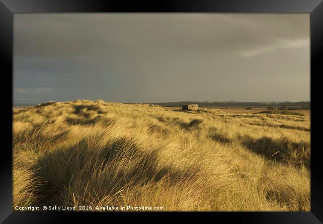 Inland from the dunes Horsey Framed Print by Sally Lloyd